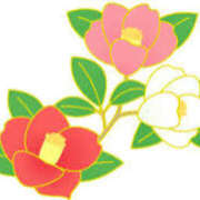 ヒメ日記 2024/12/18 16:56 投稿 まりあ セクシーキャット 神田店