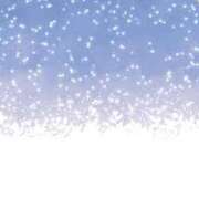 ヒメ日記 2024/12/19 23:00 投稿 まりあ セクシーキャット 神田店