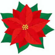 ヒメ日記 2024/12/25 16:57 投稿 まりあ セクシーキャット 神田店