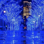 ヒメ日記 2024/12/26 23:00 投稿 まりあ セクシーキャット 神田店