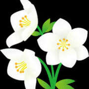 ヒメ日記 2025/01/13 16:58 投稿 まりあ セクシーキャット 神田店