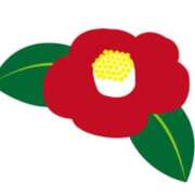 ヒメ日記 2025/01/18 16:58 投稿 まりあ セクシーキャット 神田店