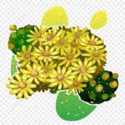 ヒメ日記 2025/01/22 15:58 投稿 まりあ セクシーキャット 神田店