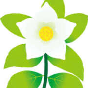 ヒメ日記 2025/01/23 15:59 投稿 まりあ セクシーキャット 神田店