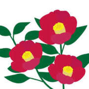 ヒメ日記 2025/02/01 16:59 投稿 まりあ セクシーキャット 神田店