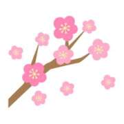 ヒメ日記 2025/03/05 16:59 投稿 まりあ セクシーキャット 神田店