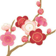 ヒメ日記 2025/03/06 15:59 投稿 まりあ セクシーキャット 神田店