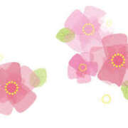 ヒメ日記 2025/03/12 16:59 投稿 まりあ セクシーキャット 神田店