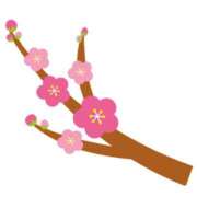 ヒメ日記 2025/03/13 16:59 投稿 まりあ セクシーキャット 神田店