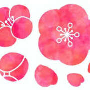 ヒメ日記 2025/03/17 15:58 投稿 まりあ セクシーキャット 神田店