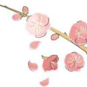 ヒメ日記 2025/03/20 16:57 投稿 まりあ セクシーキャット 神田店