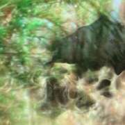 ヒメ日記 2025/03/20 23:00 投稿 まりあ セクシーキャット 神田店