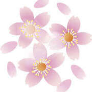 ヒメ日記 2025/03/29 16:59 投稿 まりあ セクシーキャット 神田店