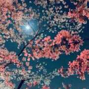 ヒメ日記 2025/03/29 23:00 投稿 まりあ セクシーキャット 神田店