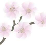 ヒメ日記 2025/04/02 16:59 投稿 まりあ セクシーキャット 神田店