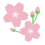 ヒメ日記 2025/04/03 15:59 投稿 まりあ セクシーキャット 神田店