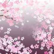 ヒメ日記 2025/03/31 23:00 投稿 まりあ セクシーキャット 神田店