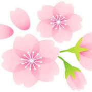 ヒメ日記 2025/04/05 16:59 投稿 まりあ セクシーキャット 神田店