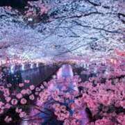 ヒメ日記 2025/04/02 23:00 投稿 まりあ セクシーキャット 神田店