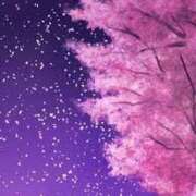 ヒメ日記 2025/04/05 23:00 投稿 まりあ セクシーキャット 神田店