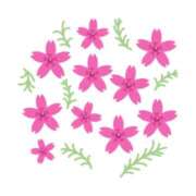 ヒメ日記 2025/04/09 16:59 投稿 まりあ セクシーキャット 神田店