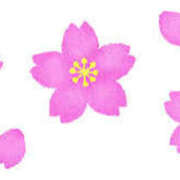 ヒメ日記 2025/04/12 16:59 投稿 まりあ セクシーキャット 神田店