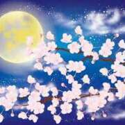 ヒメ日記 2025/04/10 23:00 投稿 まりあ セクシーキャット 神田店