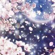 ヒメ日記 2025/04/14 23:00 投稿 まりあ セクシーキャット 神田店