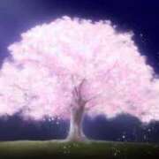 ヒメ日記 2025/04/16 23:00 投稿 まりあ セクシーキャット 神田店