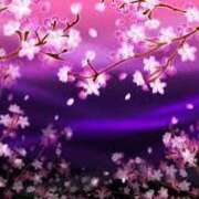 ヒメ日記 2025/04/17 23:00 投稿 まりあ セクシーキャット 神田店