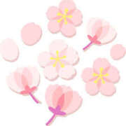 ヒメ日記 2025/04/19 16:59 投稿 まりあ セクシーキャット 神田店