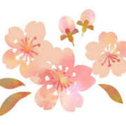 ヒメ日記 2025/04/22 15:59 投稿 まりあ セクシーキャット 神田店