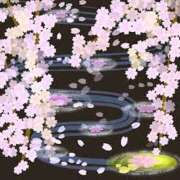 ヒメ日記 2025/04/26 23:00 投稿 まりあ セクシーキャット 神田店