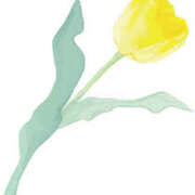 ヒメ日記 2025/05/05 15:59 投稿 まりあ セクシーキャット 神田店