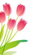 ヒメ日記 2025/05/10 16:59 投稿 まりあ セクシーキャット 神田店