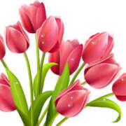 ヒメ日記 2025/05/12 15:59 投稿 まりあ セクシーキャット 神田店