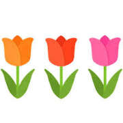 ヒメ日記 2025/05/15 16:59 投稿 まりあ セクシーキャット 神田店