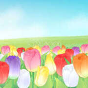 ヒメ日記 2025/05/17 16:59 投稿 まりあ セクシーキャット 神田店