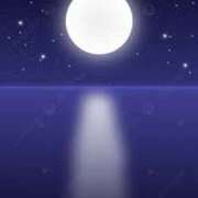 ヒメ日記 2025/05/17 23:00 投稿 まりあ セクシーキャット 神田店