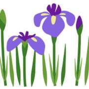 ヒメ日記 2025/05/19 15:59 投稿 まりあ セクシーキャット 神田店