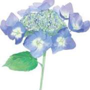 ヒメ日記 2025/05/31 14:59 投稿 まりあ セクシーキャット 神田店