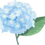 ヒメ日記 2025/06/04 16:59 投稿 まりあ セクシーキャット 神田店