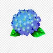 ヒメ日記 2025/06/05 15:59 投稿 まりあ セクシーキャット 神田店