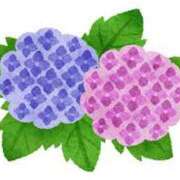 ヒメ日記 2025/06/12 15:59 投稿 まりあ セクシーキャット 神田店