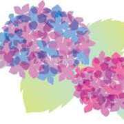 ヒメ日記 2025/06/16 15:59 投稿 まりあ セクシーキャット 神田店