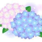 ヒメ日記 2025/06/18 16:59 投稿 まりあ セクシーキャット 神田店