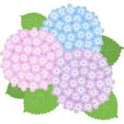 ヒメ日記 2025/06/21 16:59 投稿 まりあ セクシーキャット 神田店