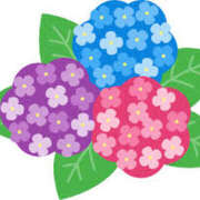 ヒメ日記 2025/06/22 15:59 投稿 まりあ セクシーキャット 神田店