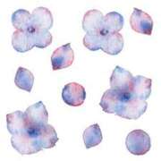 ヒメ日記 2025/06/25 16:59 投稿 まりあ セクシーキャット 神田店