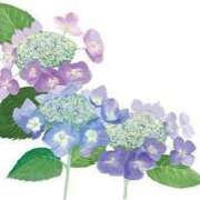 ヒメ日記 2025/06/28 16:59 投稿 まりあ セクシーキャット 神田店